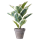 An image of a Potted Rubber Plant with realistic rubber leaves, in a ceramic grey pot.